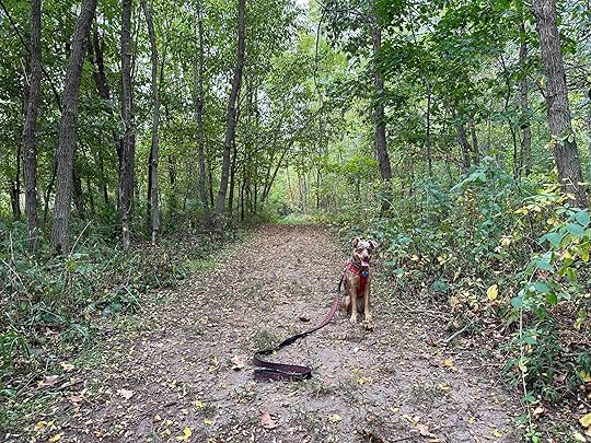 Kauffman Nature Sanctuary