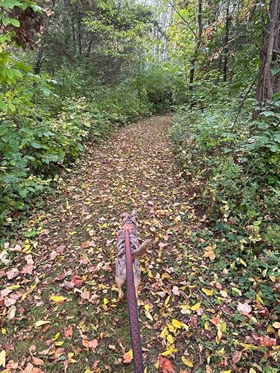 Fall colors at Kauffman Nature Sanctuary
