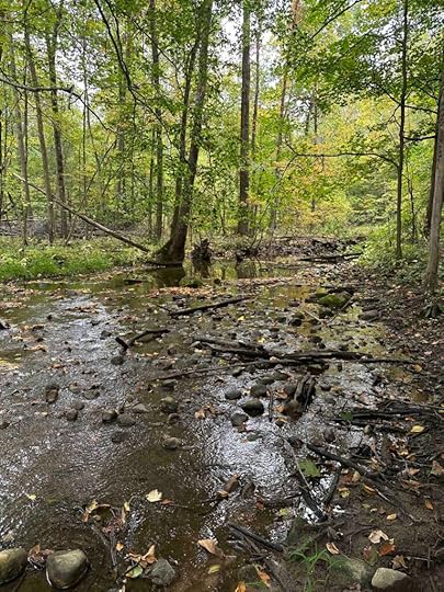 Lake Erie headwater stream