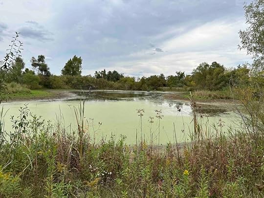 pond at Kauffman Nature Sanctuary