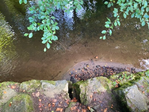 River Ugie and autumn leaves