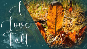 I Love Fall
