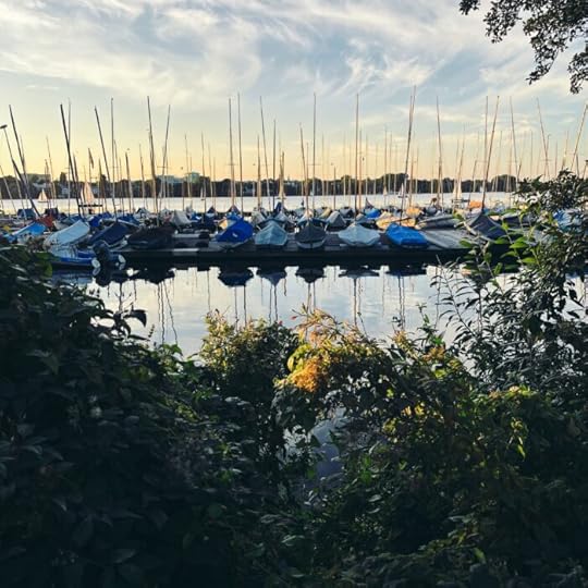 Segelboote an einem Steg an der abendlichen Außenalster, mit Planen abgedeckt, Sonnenuntergangslicht