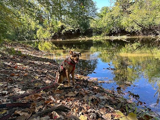 Cedar Creek at Metea County Park