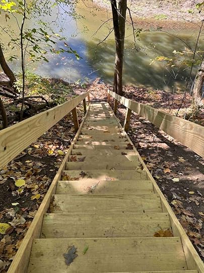 down the stairs to Cedar Creek