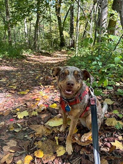happy Sunny at Metea County Park