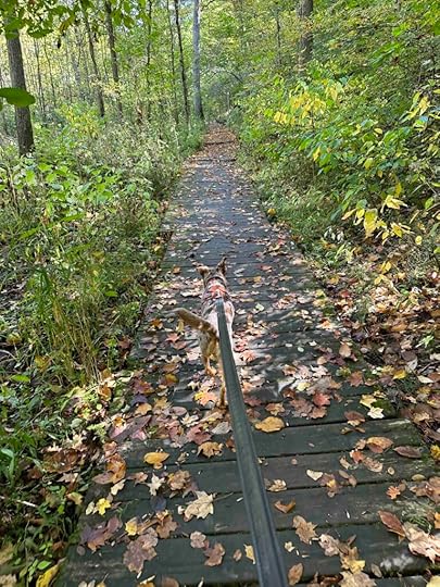 Softshell Turtle Trail at Metea County Park