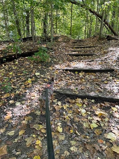 up the hill at Metea County Park