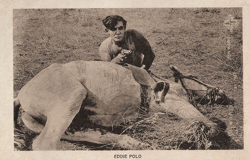Eddie Polo