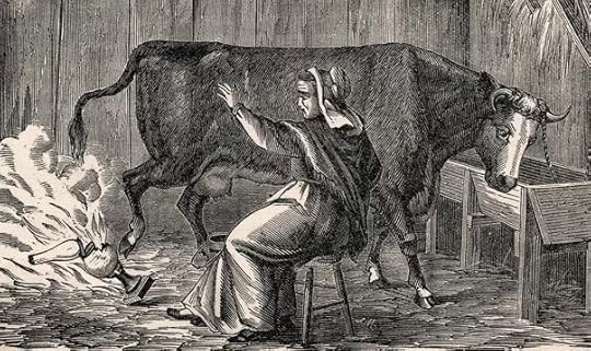 woman with cow
