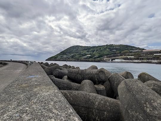 Cetacea photobombs the riprap shot