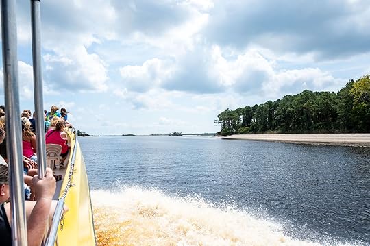 dolphin cruise things to do north myrtle beach