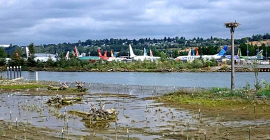 duwamish river seattle boeing feature