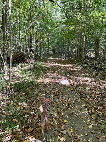 on the trail at Asherwood