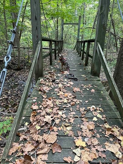 on the bridge at Asherwood