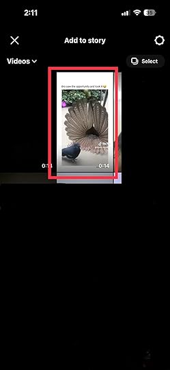 image for how to remove tiktok watermark 2