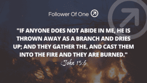 Dead Sticks – John 15:6