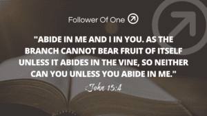 Focus on the Vine – John 15:4