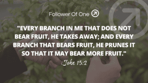 When We Bear Fruit – John 15:2