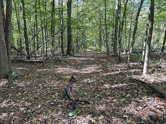 Evelyn and Wendell Dygert Nature Preserve