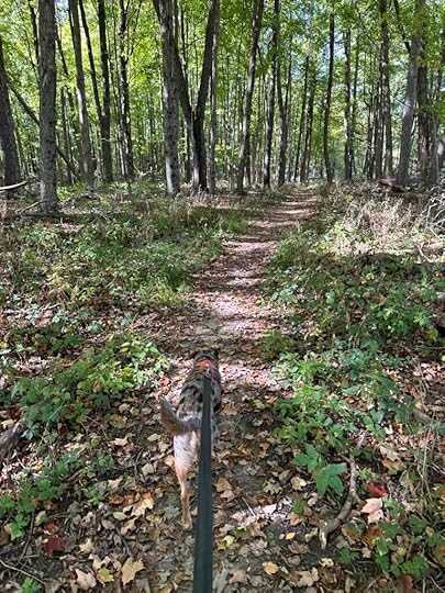 the trail at Evelyn and Wendell Dygert Nature Preserve