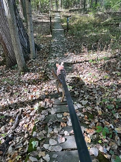 across the wood platform