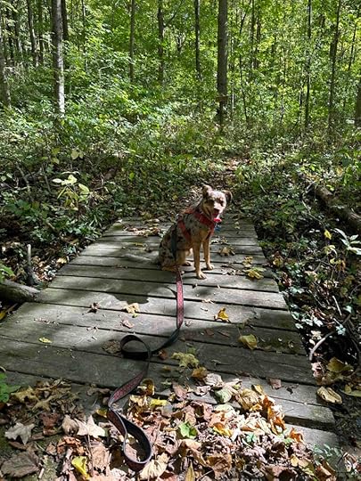 looking pretty on the bridge