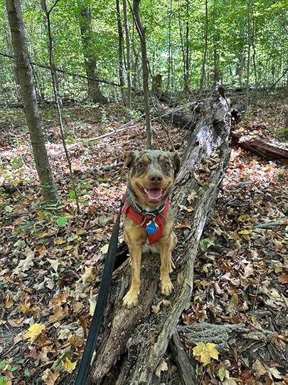 all smiles at Evelyn and Wendell Dygert Nature Preserve