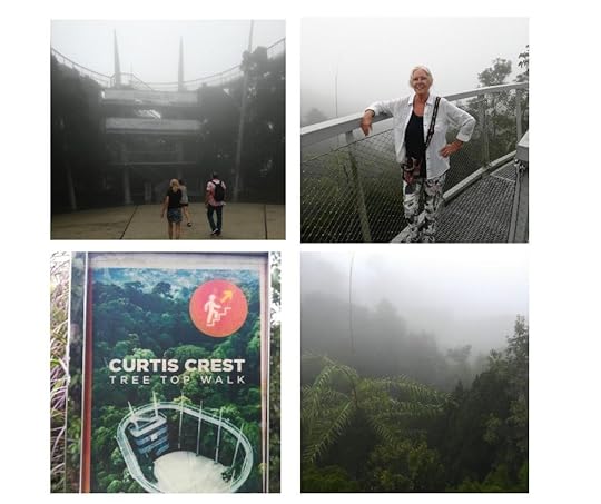 In the mist at the Curtis Crest Tree Top Walk at The Habitat at Penang Hill. The Backpacking Housewife. My 10 Best Things To Do In Penang Malaysia