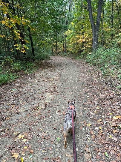 On the trail at Ott Biological Preserve
