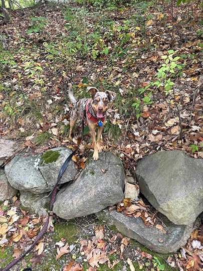 checking out the rocks