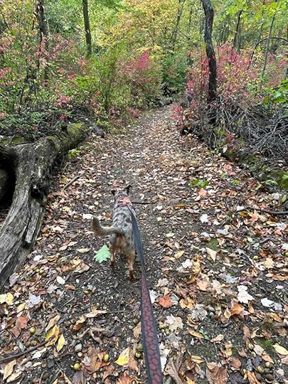 trail to the lake at Ott Biological Preserve