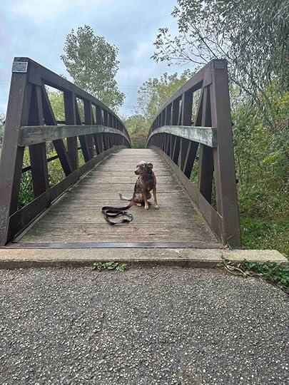 Sunny on the bridge at Ketchum Park