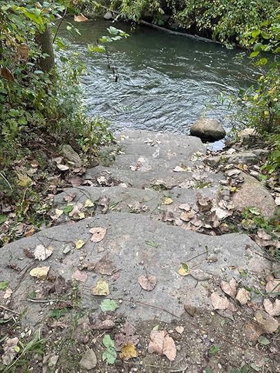 steps to Rice Creek