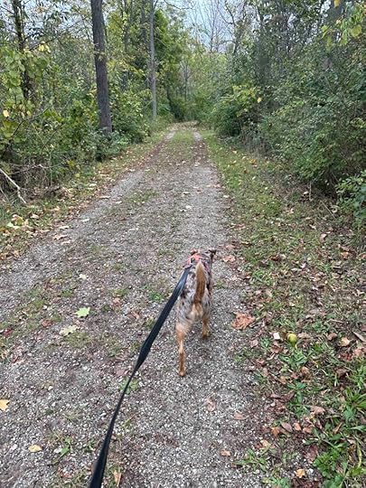 on the trail at Ketchum Park
