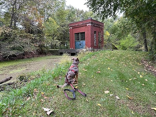 Baintertown - River Reserve County Park