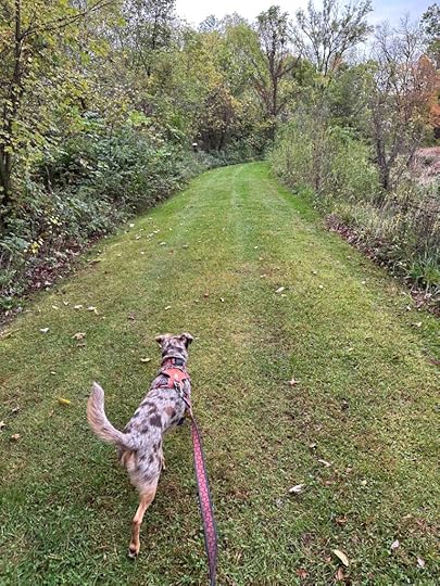 Baintertown Park trail