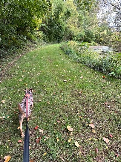 Baintertown - River County Preserve