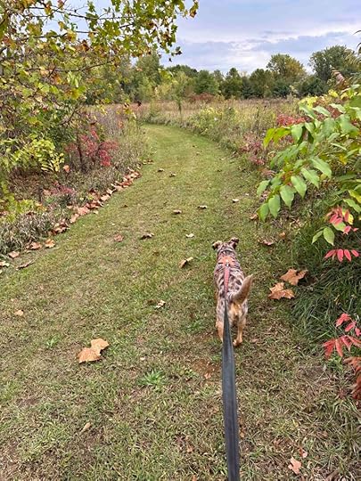 Baintertown-River County Preserve