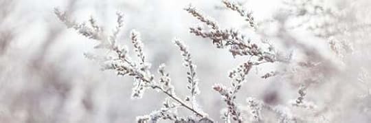 Recensione di La signora Potter non è esattamente Santa Claus di Laura Fernández