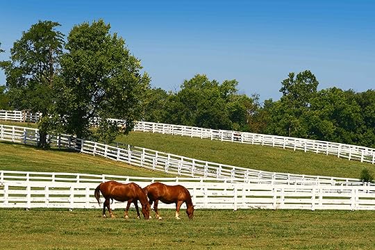 https://www.tripsavvy.com/thmb/MnPtJ3rU9-Y3NjCXFY_bnkOXWXM=/3888x2592/filters:no_upscale():max_bytes(150000):strip_icc()/kentucky-horse-park-fields-432da3beaa25418e91a3c5ac53deff22.jpg