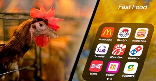 animal antibiotics fast food feature