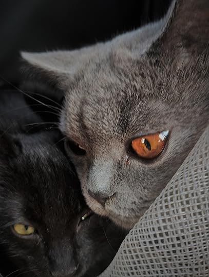 Kara si Linu ♥