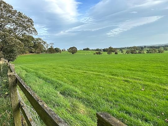 Fieldsheepdistancewoodfence