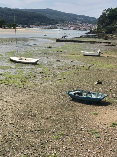 River alternate after Ramallosa along the Portuguese Coastal Camino