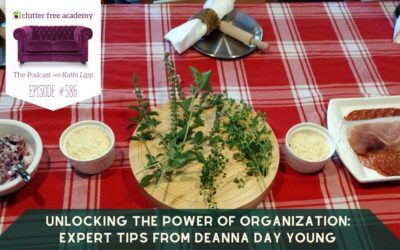 #586 Unlocking the Power of Organization: Expert Tips from Deanna Day Young