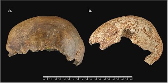 Broken human skulls