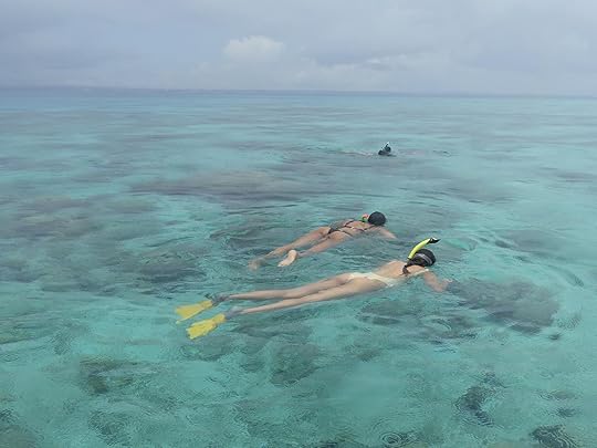 Snorkeling near Changuu - Prison Island near Zanzibar, Tanzania.