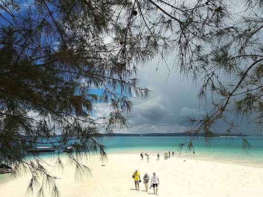 Nice beach in Changuu Island - Prison Island near Zanzibar, Tanzania.