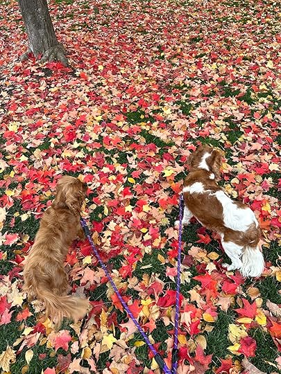 Pupsredleavestree